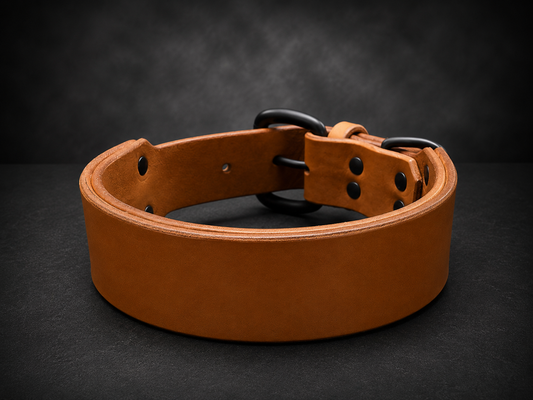 Standard Collar